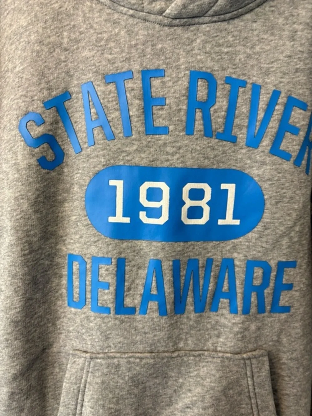 H&M Gray & Blue State River 1981 D
Hoodie Sweatshirt Size 14 Years Cotton - Picture 9 of 12